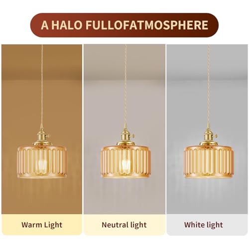 2 Pack Industrial Pendant Lighting (2 Count)