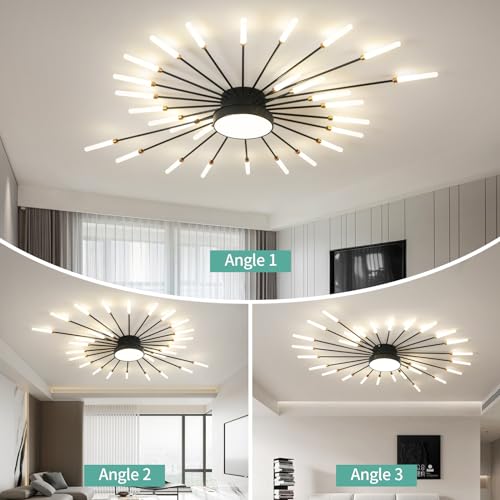Modern Ceiling Light