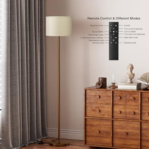 Floor Lamps for Living Room with Remote Control and Stepless Dimmable Colors Temperature & Brightness
