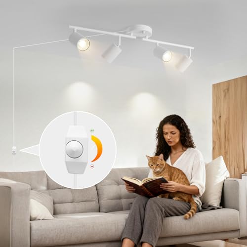 Dimmable Plug in Track Lighting