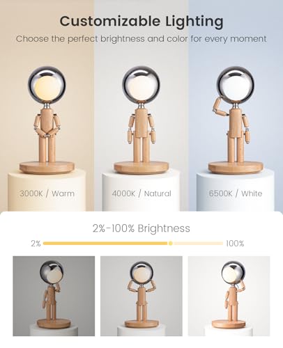 Rechargeable Cordless Desk Lamp