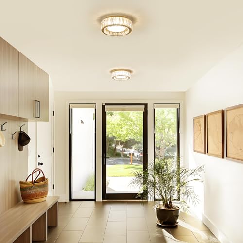 11 Inch Dimmable Luxury Crystal LED Flush Mount Ceiling Light