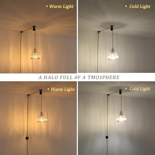 Plug in Pendant Light Hanging Light Fixture Corded On