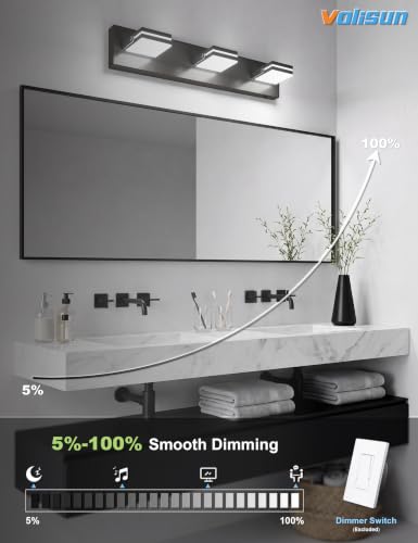3 Light Bathroom Vanity Light (Black-5CCT / 24-Inch)