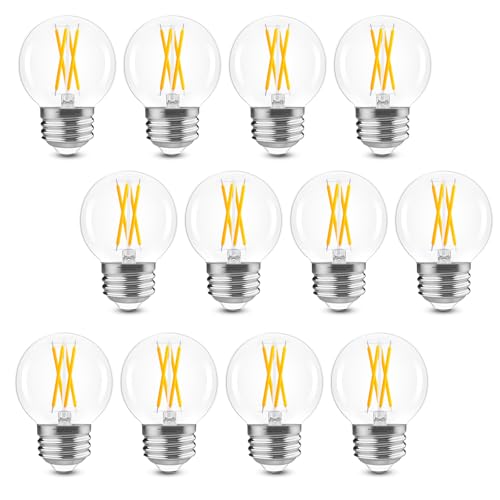 E26 G16.5 Edison Globe LED Bulb (12 Count)