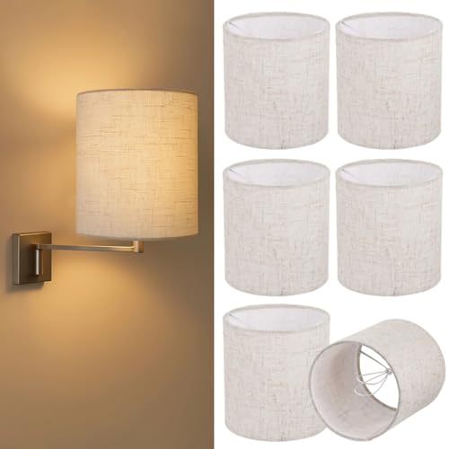 6PCS Chandelier Lamp Shades (6 Count)