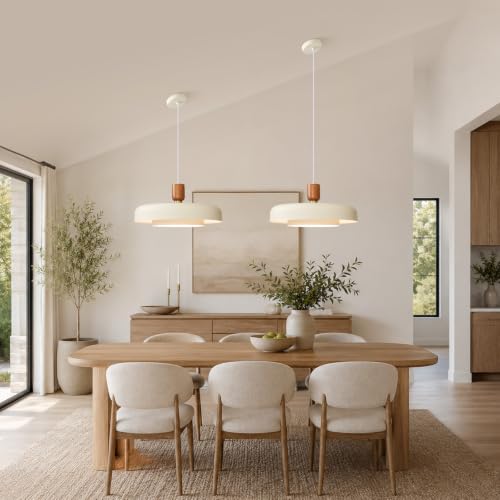 Mid Century Modern Pendant Light