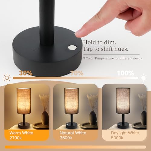 Cordless Table Lamp