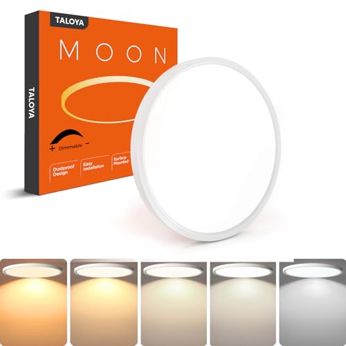 Dimmable Flush Mount Ceiling Light