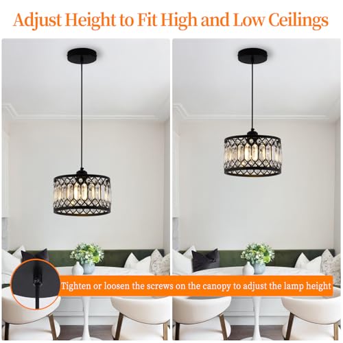 Crystal Black Pendant Light Fixture