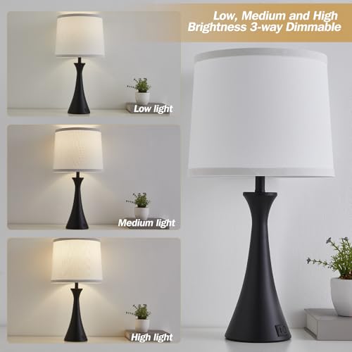 Touch Table Lamps Set of 2 (2 Count)