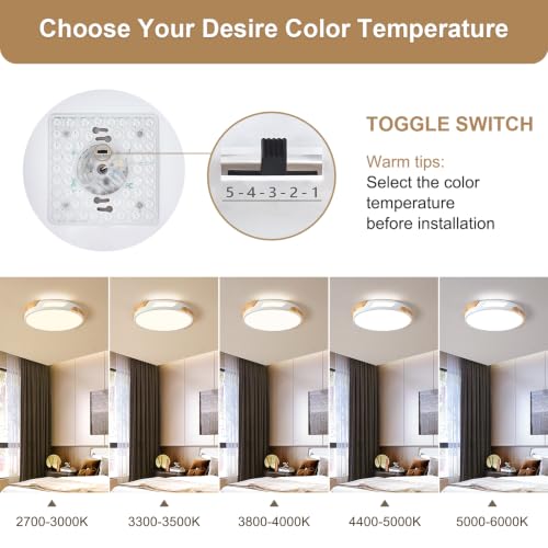 Modern LED Ceiling Light