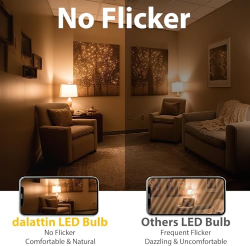 24 Pack A19 LED Bulbs (24 Count)