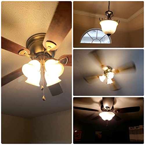 E12 100 Watt Equivalent LED Candelabra Bulbs C7 (5 Count)