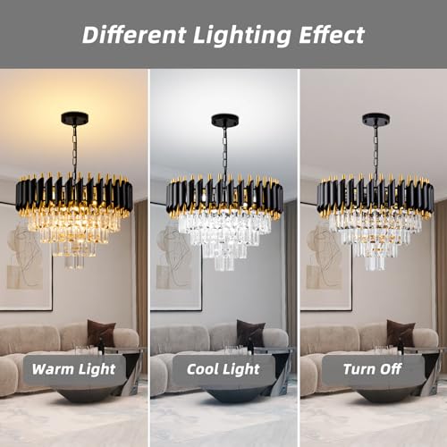 Modern Chandelier Gold and Black Crystal Chandeliers 4