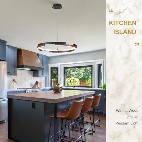 Modern LED Ring Chandeliers