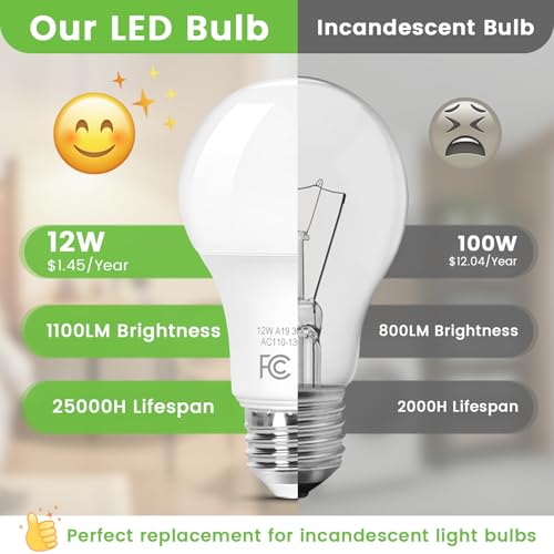 A19 LED Light Bulbs (4 Count)