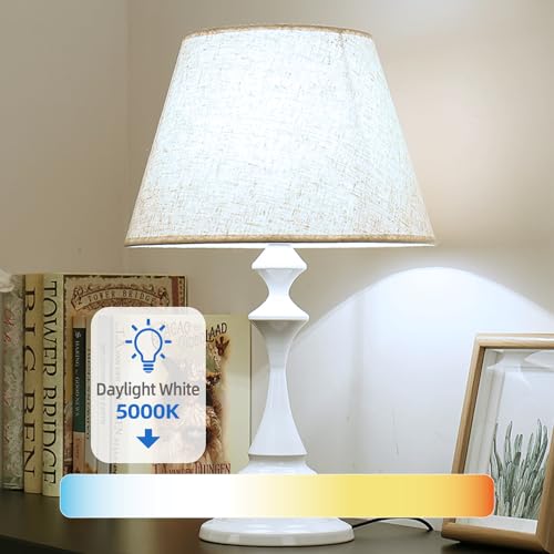 24 Pack A19 LED Light Bulbs 60 Watt Equivalent (24 Count)
