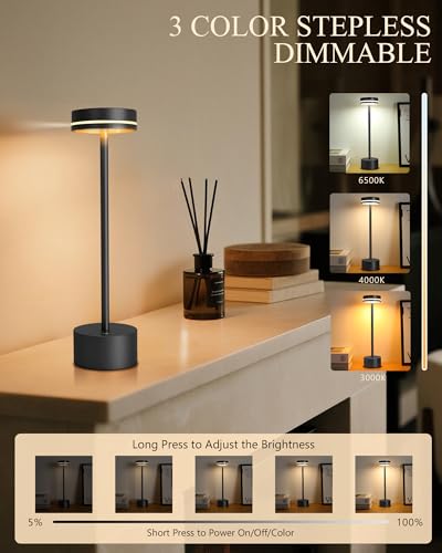 2 Pack LED Cordless Table Lamp Rechargeable (2 Count)