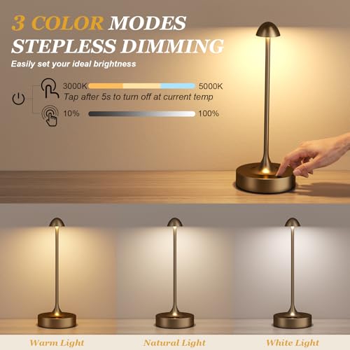 Rechargeable Cordless Table Lamp (2 Count)