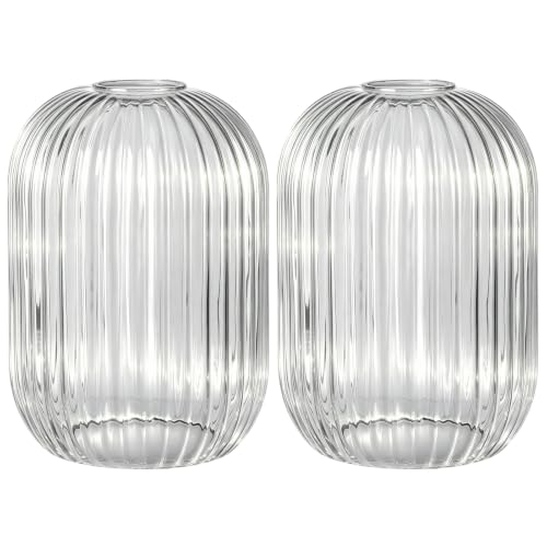 2 Pack Clear Ribbed Glass Lamp Shade (2 Count)