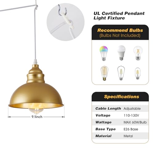 Plug in Pendant Light
