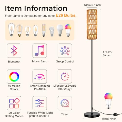 Boho Floor Lamp for Living Room with Smart RGB Bulb (2-Black)