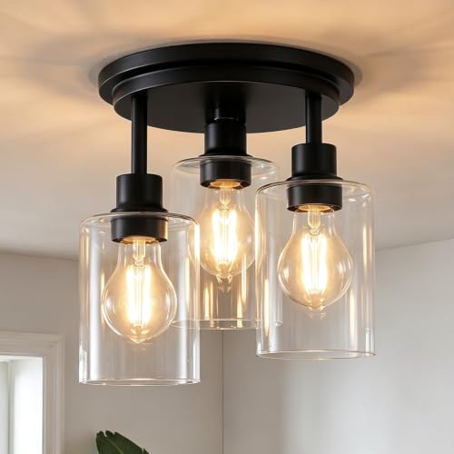 Semi Flush Mount Ceiling Light
