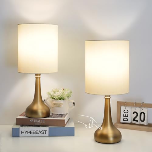 Set of 2 Bedside Touch Lamps (2 Count)
