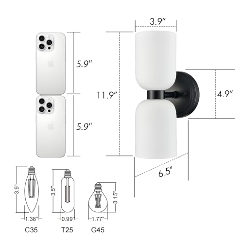 Black Wall Sconces Set of 2 Glass Vine Shades