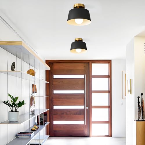 2 Pack Black and Gold Modern Semi Flush Mount Ceiling Light Fxiture 10 in (2 Count)