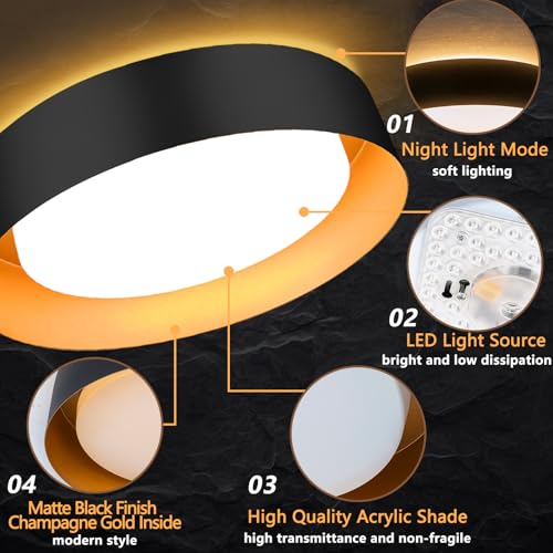 Flush Mount Ceiling Light with Remote & Night Light