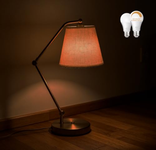 2 Pack Dimmable Dim Light Bulbs E26 (2 Count)