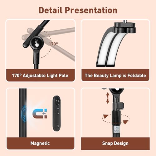2026 Half Moon Eyelash Esthetician Light with 4