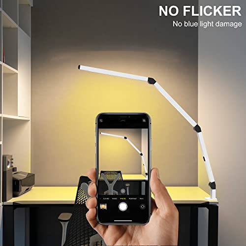 LED Desk Lamp with Clamp