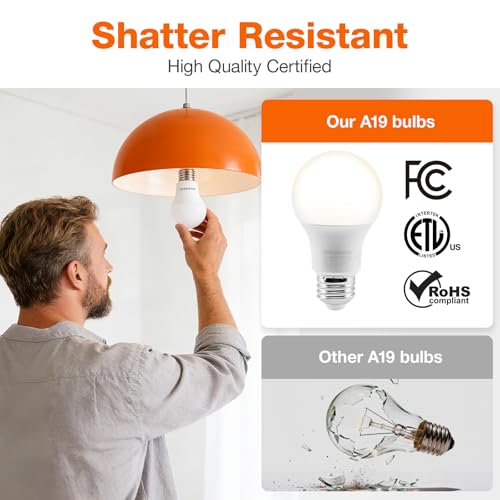 Sylvania ECO LED A19 Light Bulb (24 Count)