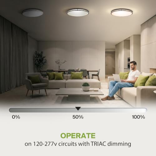 LED Flush Mount Lighting