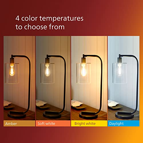 75W ST19 2 Pack Vintage Edison Amber (2 Count)