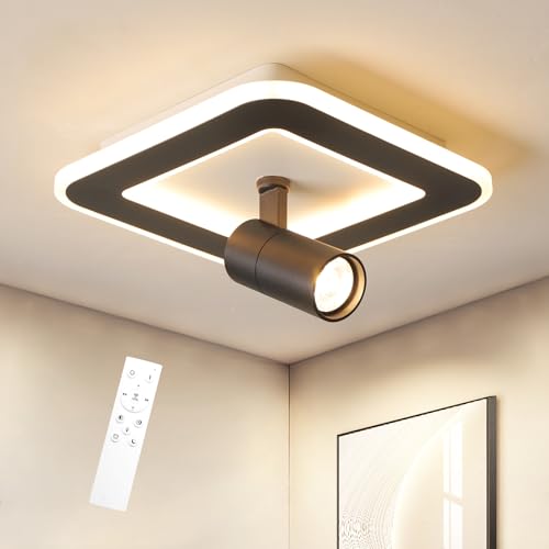 Modern LED Ceiling Lights with 1 spotlights 9.8Inch Black Ceiling Lights with Remote Control Dimmable