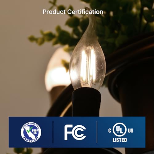 5000K Daylight LED Chandelier Edison Bulbs (6 Count)