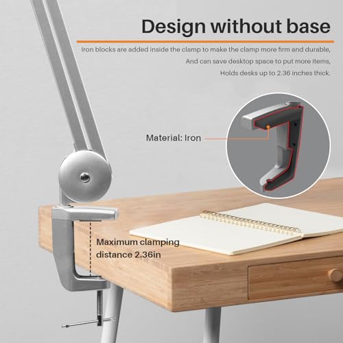 LED Desk Lamp with Clamp