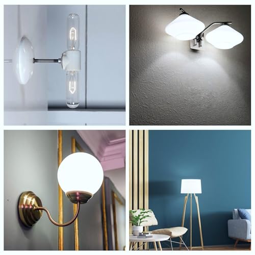 5 Inch Edison Bulb (4 Count)