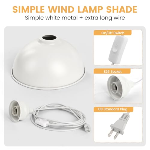 Plug in Pendant Light