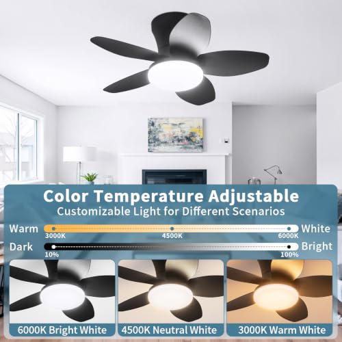 Small Ceiling Fan with Lights (25 Inch)