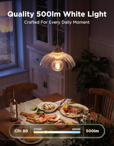 Edison Bulbs G25 Smart Vintage Light Bulbs (4 Count)