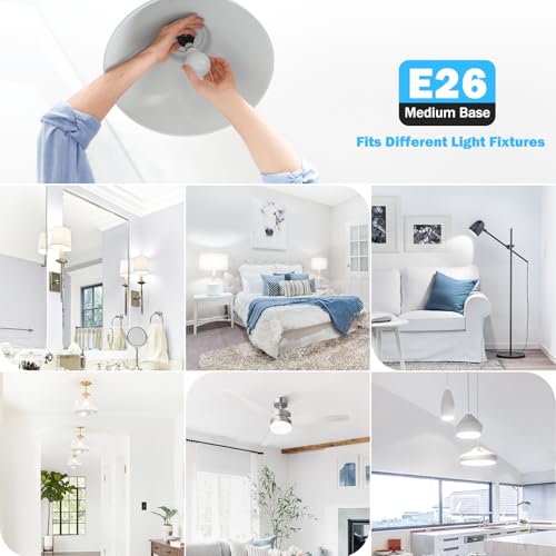 A19 LED Light Bulb 60W Equivalent (20 Count)