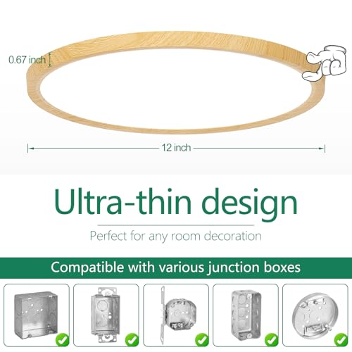 12 Inch LED Flush Mount Ceiling Light Fixture (2 Count)