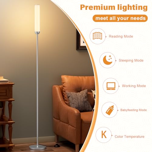 LED Floor Lamp with Remote Control