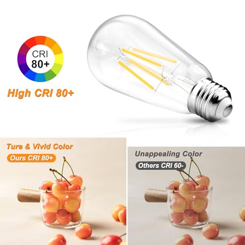 12 Pack Vintage LED Edison Light Bulb 60W Equivalent (12 Count)