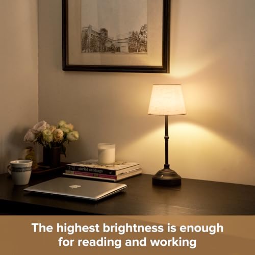 Cordless Table Lamp